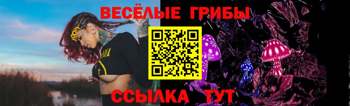 Галлюциногенные грибы ЛСД Кузнецк